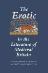 The Erotic in the Literature of Medieval Britain cover