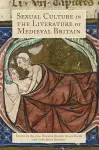 Sexual Culture in the Literature of Medieval Britain cover