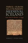 Animal-Human Relationships in Medieval Iceland cover