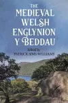 The Medieval Welsh Englynion y Beddau cover