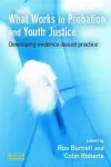 What Works in Probation and Youth Justice cover