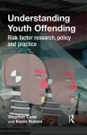 Understanding Youth Offending cover