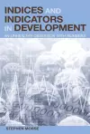 Indices and Indicators in Development cover