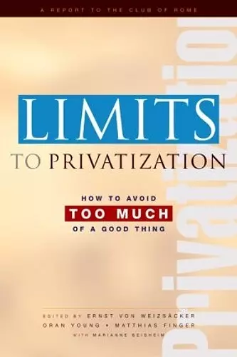 Limits to Privatization cover