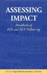 Assessing Impact cover