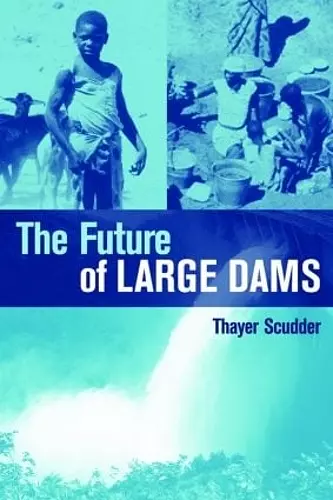 The Future of Large Dams cover