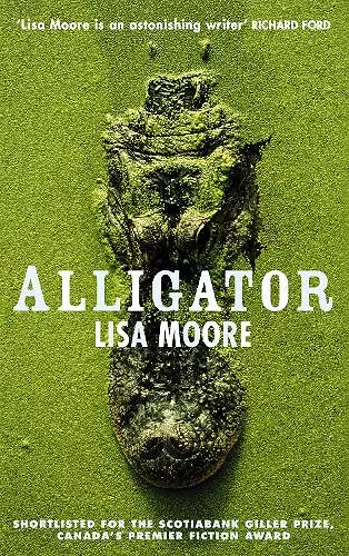 Alligator cover