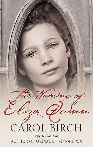 The Naming Of Eliza Quinn cover