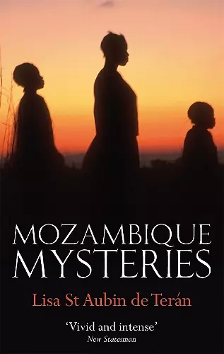 Mozambique Mysteries cover