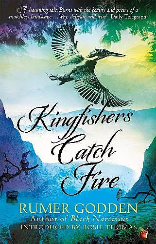 Kingfishers Catch Fire cover