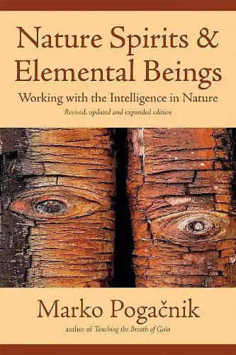 Nature Spirits and Elemental Beings cover