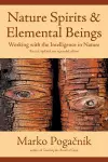 Nature Spirits & Elemental Beings cover