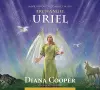 Meditation to Connect with Archangel Uriel cover