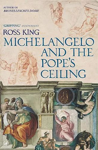 Michelangelo And The Pope's Ceiling cover