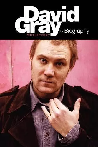 David Gray cover