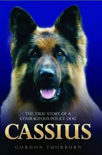 Cassius cover