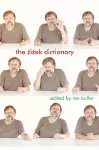 The Žižek Dictionary cover