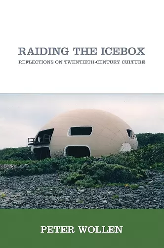Raiding the Icebox cover