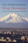 Deep Mountain cover
