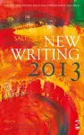 The Salt Anthology of New Writing 2013 cover