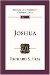 Joshua cover