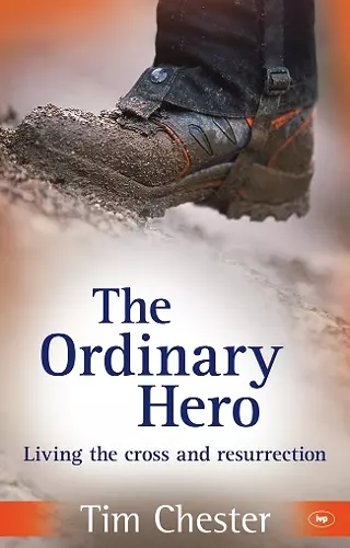 The Ordinary Hero cover