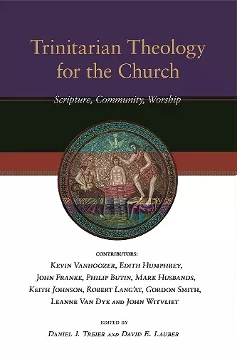 Trinitarian Theology for the Church cover