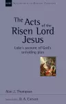 The Acts of the Risen Lord Jesus cover