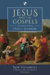 Jesus and the Gospels cover