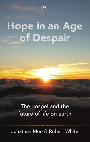 Hope in an Age of Despair cover