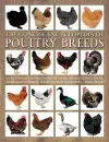Concise Encyclopedia of Poultry Breeds cover