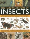 Natural History of Insects cover
