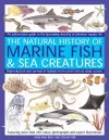 Marine Fish cover
