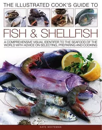 Illustrated Cook's Guide to Fish and Shellfish cover