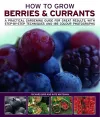 How to Grow Berries and Currants cover