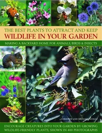 Best Plants to Attract and Keep Wildlife in the Garden cover
