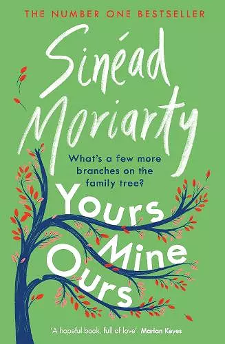Yours, Mine, Ours cover