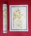 Wylde Green 1885 - Old Map Supplied Rolled in a Clear Two Part Screw Presentation Tube - Print Size 45cm x 32cm cover