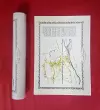 Water Orton 1882 - Old Map Supplied Rolled in a Clear Two Part Screw Presentation Tube - Print Size 45cm x 32cm cover