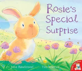 Rosie's Special Surprise cover