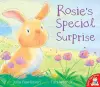Rosie's Special Surprise cover