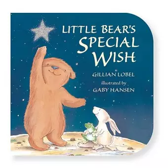 Little Bear's Special Wish cover