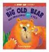 The Big Old Bear Who Swallowed Fly cover