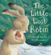 The Little Lost Robin cover