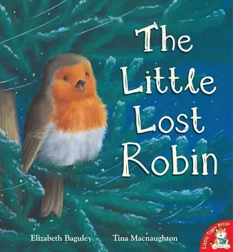 The Little Lost Robin cover