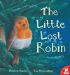 The Little Lost Robin cover