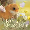 Run, Little Mouse, Run! cover