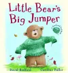 Little Bear's Big Jumper cover