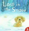 Lost in the Snow cover