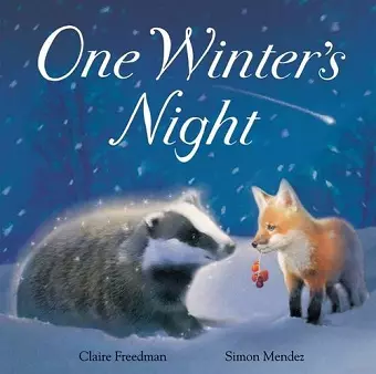 One Winter's Night cover